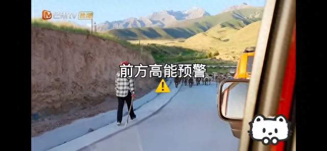 同吃同住的那两年，和之后二十年的各执一词
