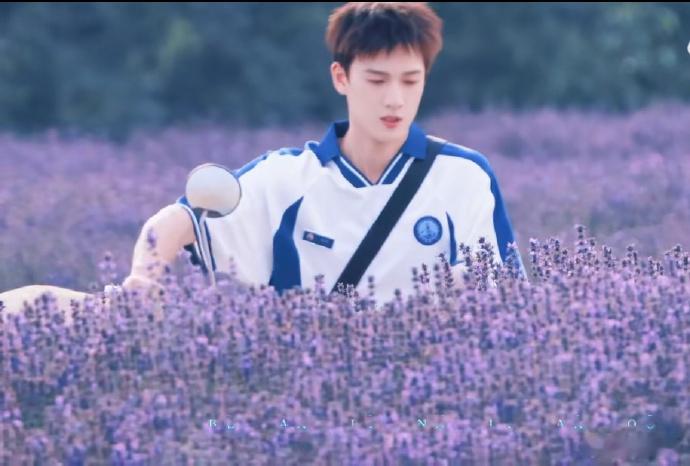 李昀锐《耀眼》邢武薰衣草花田路透，干净帅气很耐看，阳光大男孩即视感！ ​​​