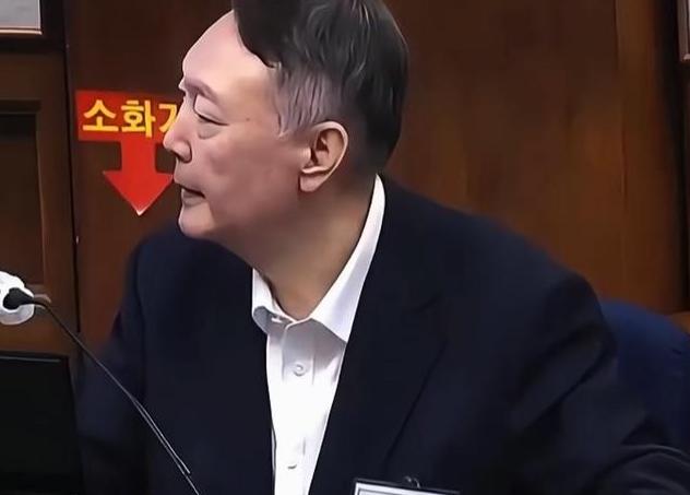 尹锡悦终于忍无可忍了，在庭审时情绪失控，当庭质问检察官：“金建希是什么人，你至少