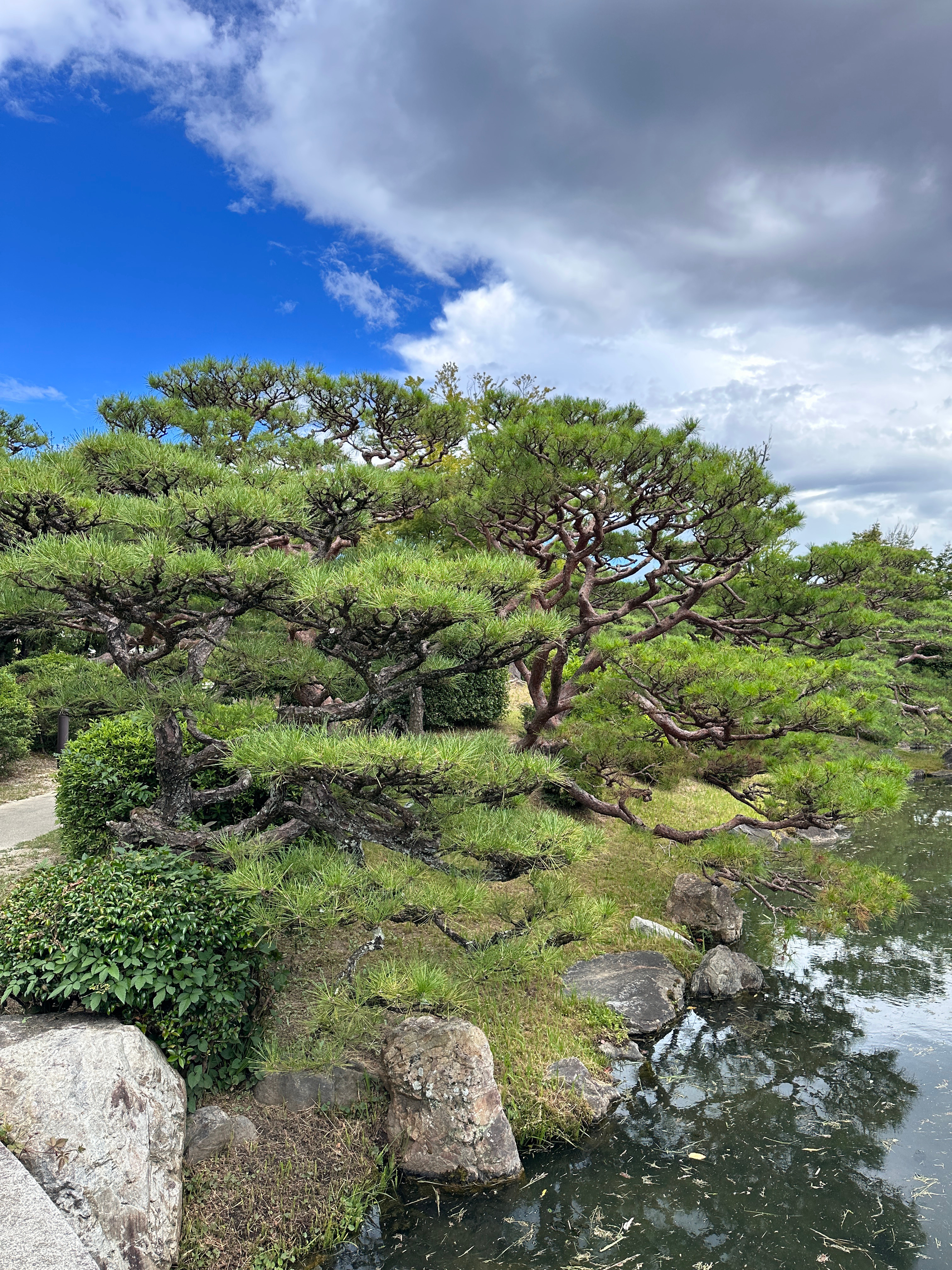 蓝的像假的[草泥马][草泥马]整个天空 ​​​