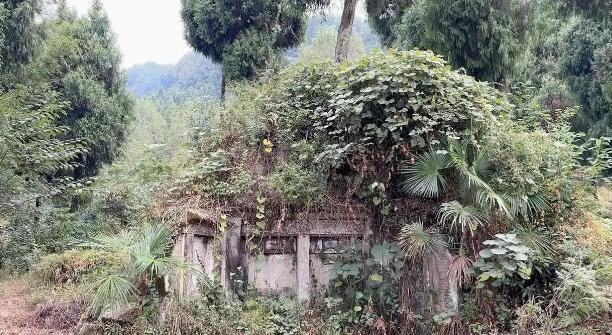 中国土葬几千年，埋了三百亿人，为啥现在看不到古坟？据专家推算，地球上总共出现过大