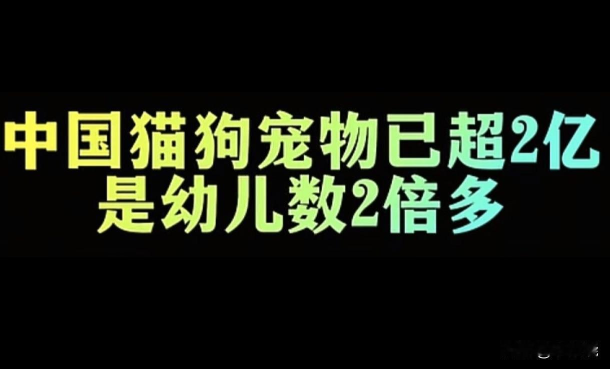 中国猫狗宠物数量超2亿，是幼儿数的2倍多！🐾🐾🐾
这种数量上的碾压，正常吗