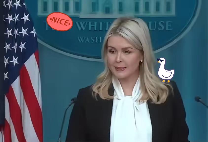 白宫发言人：拜登的决定愚蠢且无能
白宫发言人卡罗琳・利维特称：“遗憾的是，四年来