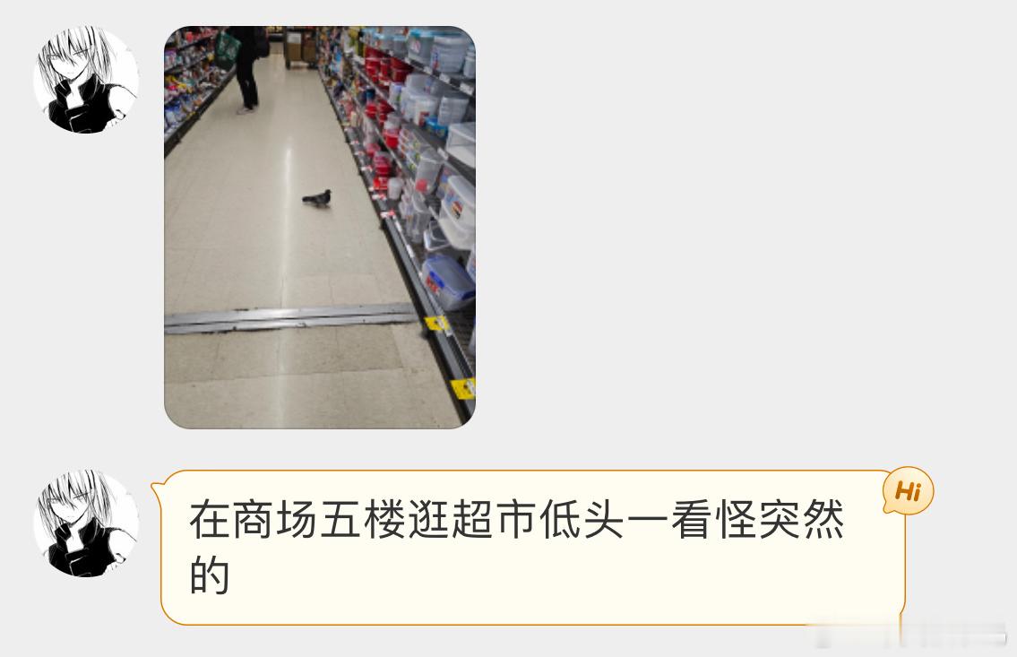咕咕也会购物[开学季] ​​​
