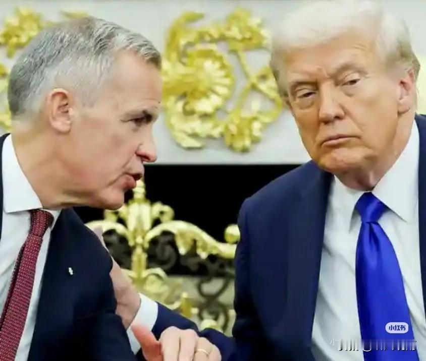 加拿大总理卡尼在G7峰会上告诉美国总统特朗普：“只有不到 3% 的加拿大市场份额
