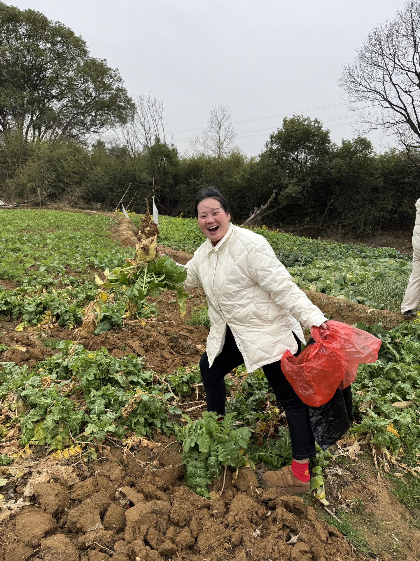 自己种的纯天然的绿色蔬菜 田园生活乐趣多
