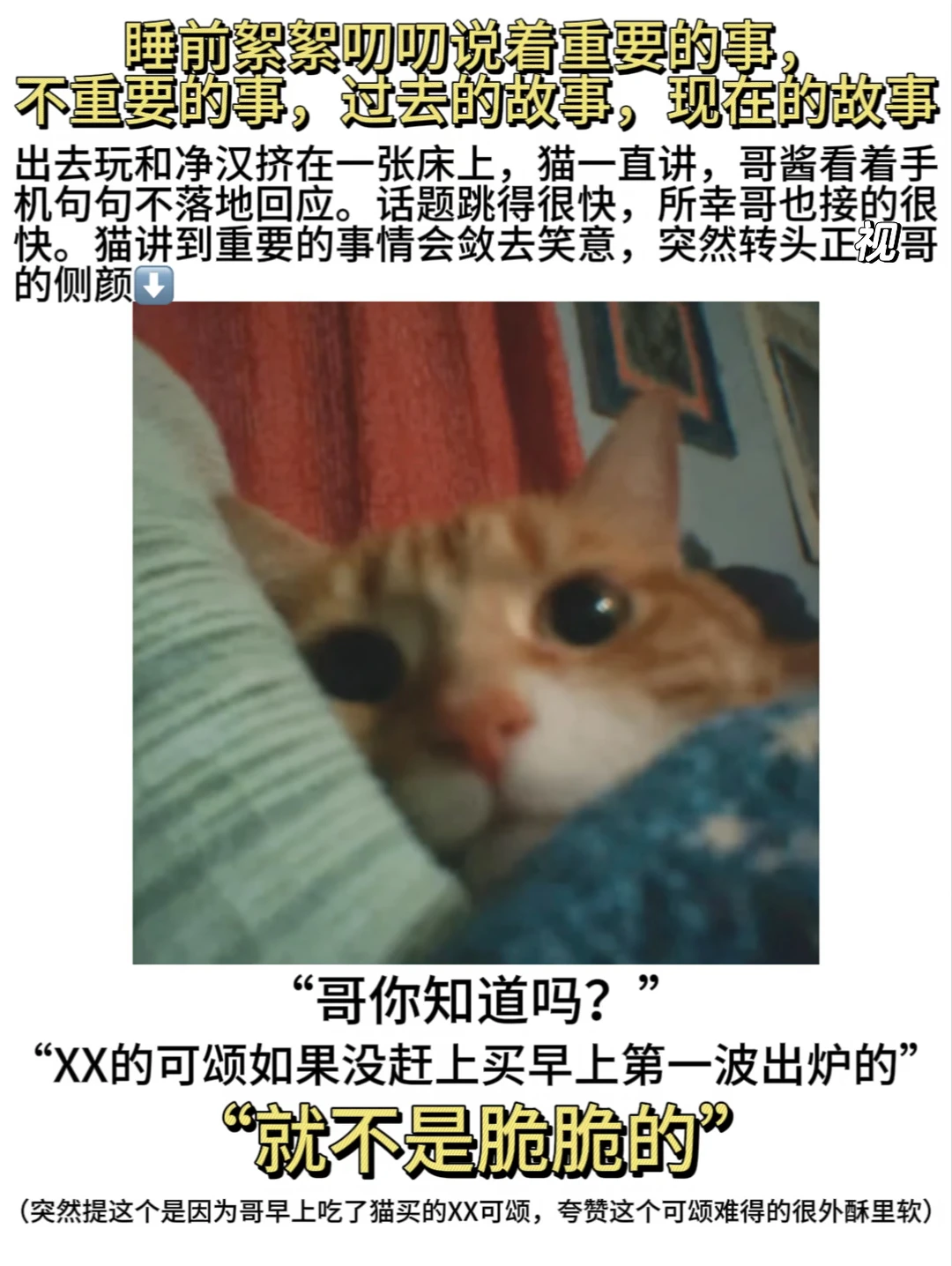 每次23发现俊尼讲话的小心思都觉得很可爱