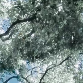 每日一善 🌞遇见美好 青春正能量，岁月蹉跎，不去珍惜，它只会荒废，一旦如拾珍宝