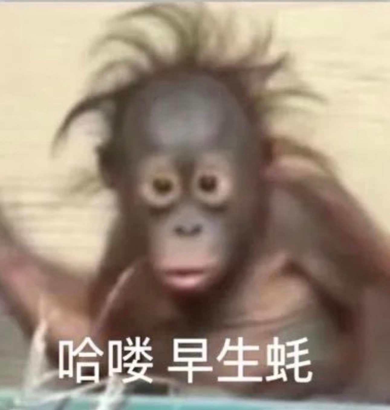 醒了夏天就一定要这么忙吗？不容易休息了一天感觉身体在自动修复了睡到现在 