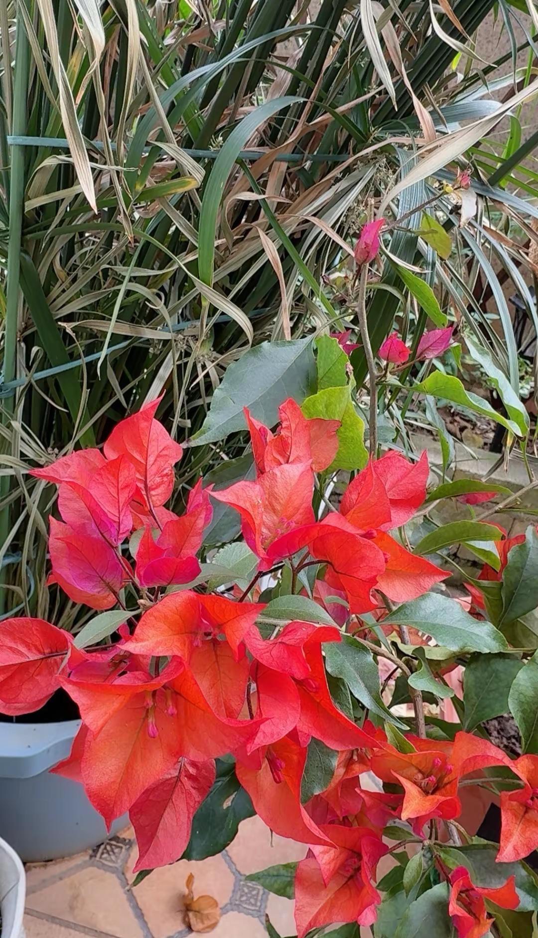 自在，不是让所有人都喜欢你，而是你喜欢或不喜欢，我都安然如初