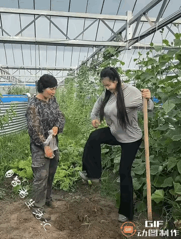 这样播种真的可以吗？