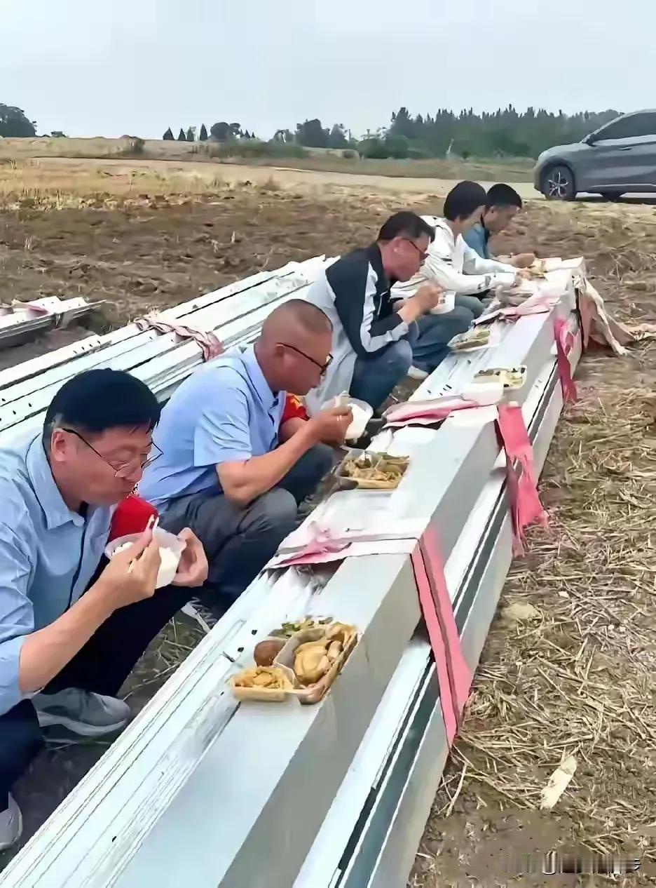 农业科技为农民。为提高粮食产量，农业科技专家走进田间地头，吃在田边地尾，一心一意