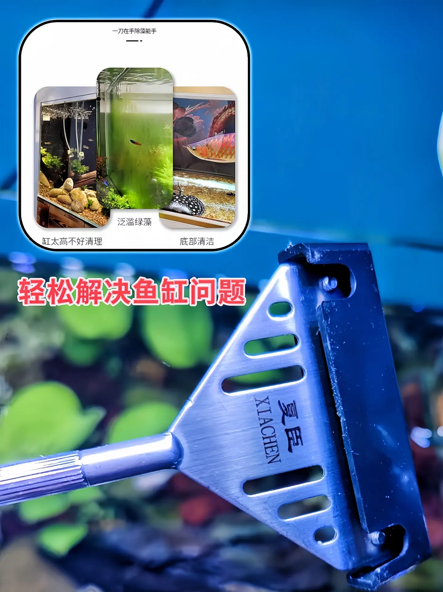 有了这款刮藻刀就能轻松解决鱼缸绿藻和污垢，方便又快捷，不伤鱼缸，轻松省...
