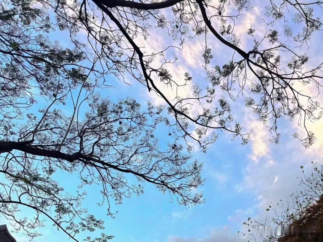 谢世杰医生，分享了一辈子不得糖尿病的秘诀，分享给大家：
一，糖尿病与吃甜食没关系