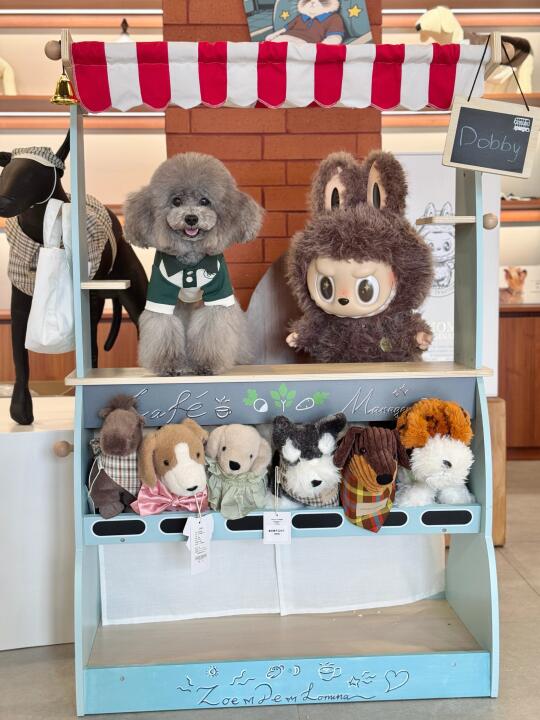 连续玩了两天超满足!!