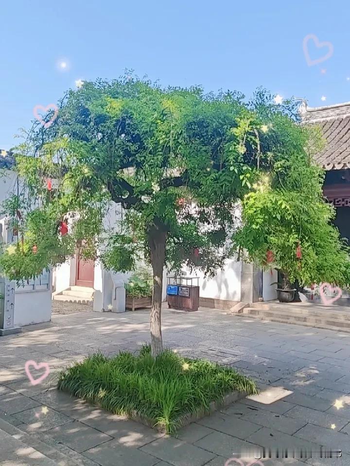 春日生活打卡季