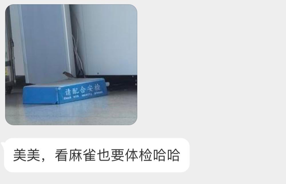 🐦：那我就配合一下！ ​​​