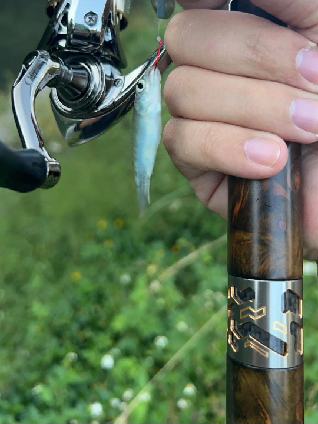 伸缩竿有没有感度和性能？你敢信？这两张图是同一天，两位钓友用同一根伸缩...