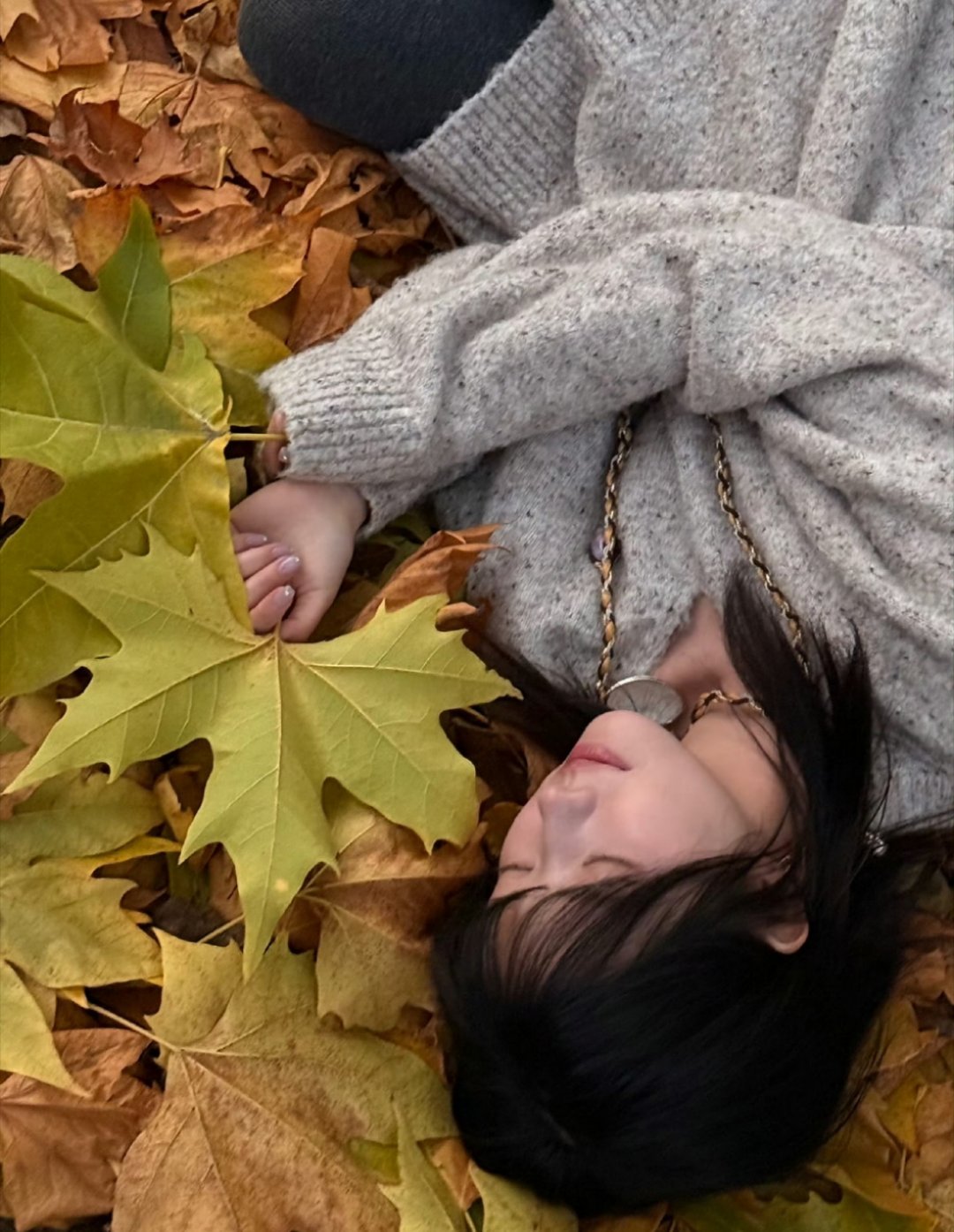 何蓝逗鞋子有兔耳朵欸，你也知道你是小兔子嘛🐰 