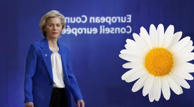 法媒吐槽：用俄赔款还乌克兰贷款就是饮鸩止渴，压根没人信！
 
法国自身债务率飙到