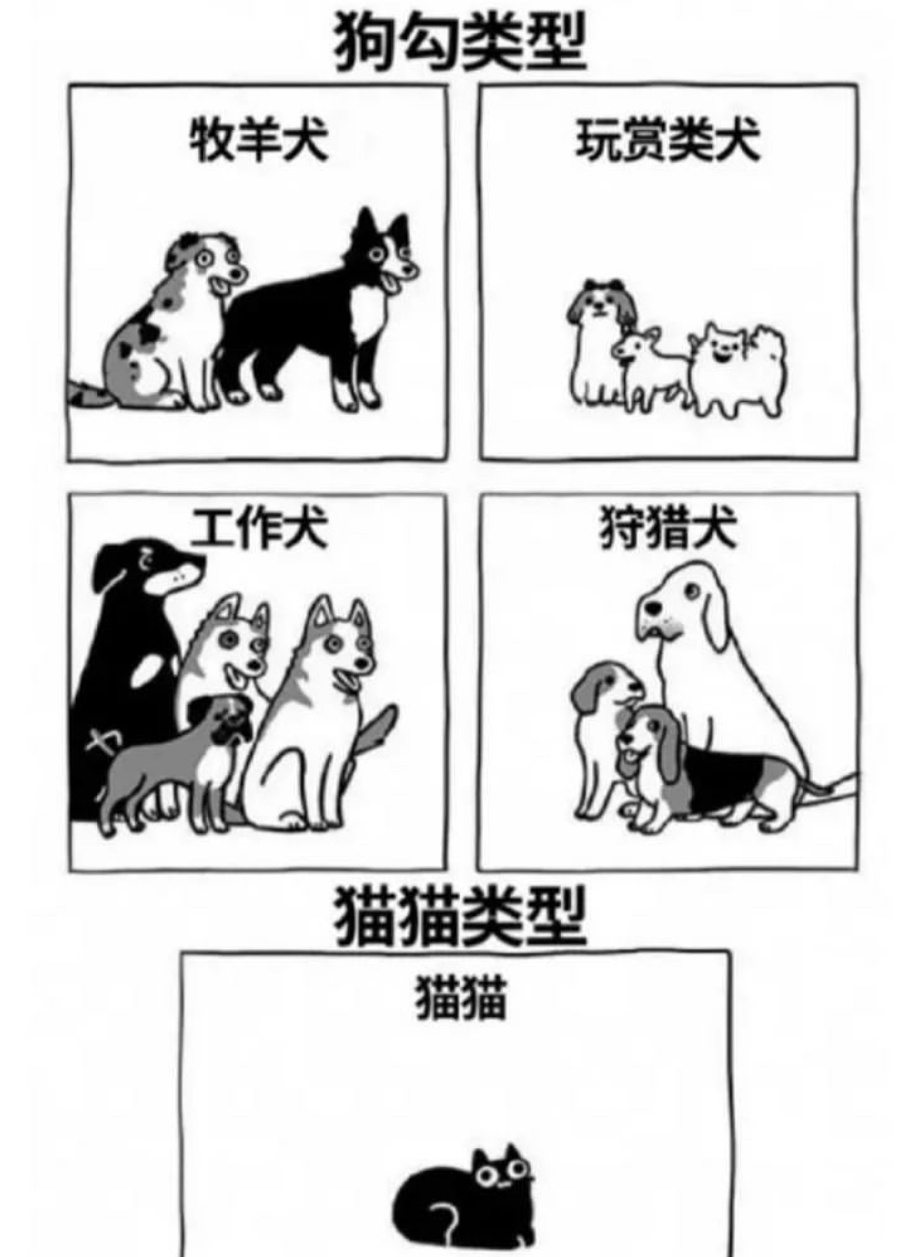 猫猫就是猫猫#今日memes# //#龙年造梗大赛# ​​​