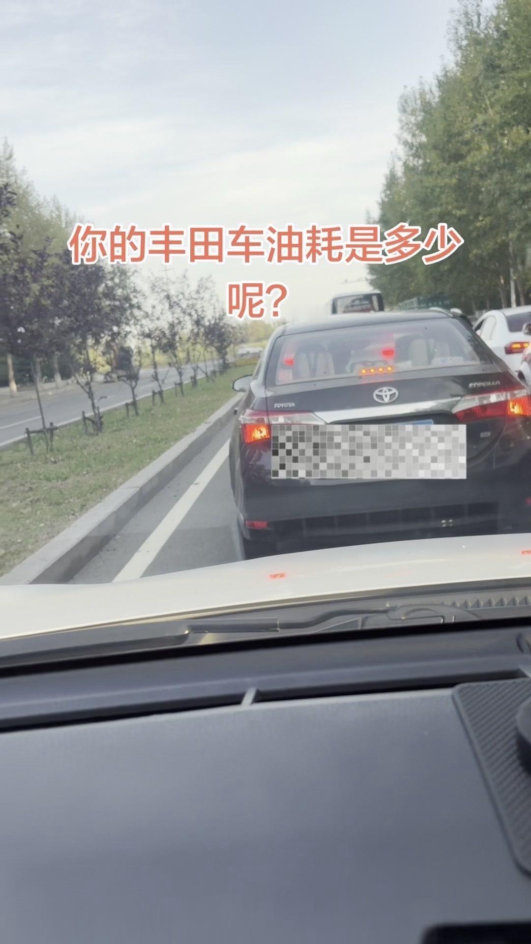 人人口中的丰田“垃圾车”网上它从来没赢过，现实里从没输过，自己日常开着省心又顺手