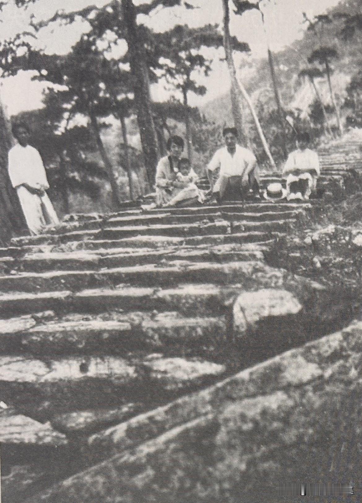 1928年夏，徐悲鸿一家与王临乙在福建鼓山。左起：王临乙、蒋碧微、徐伯阳、徐悲鸿