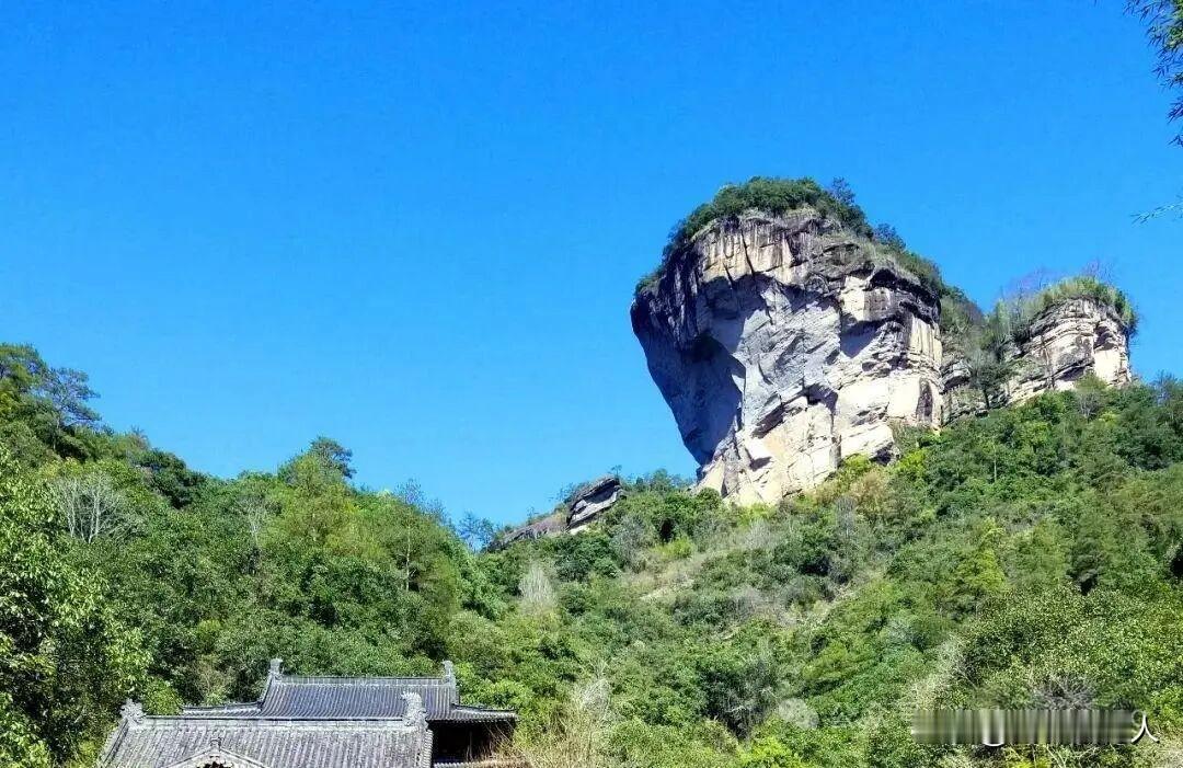 武夷岩茶，真不是人人都喝得懂的。
有人说，武夷岩茶有股焦糊味，也不知道为啥那么多