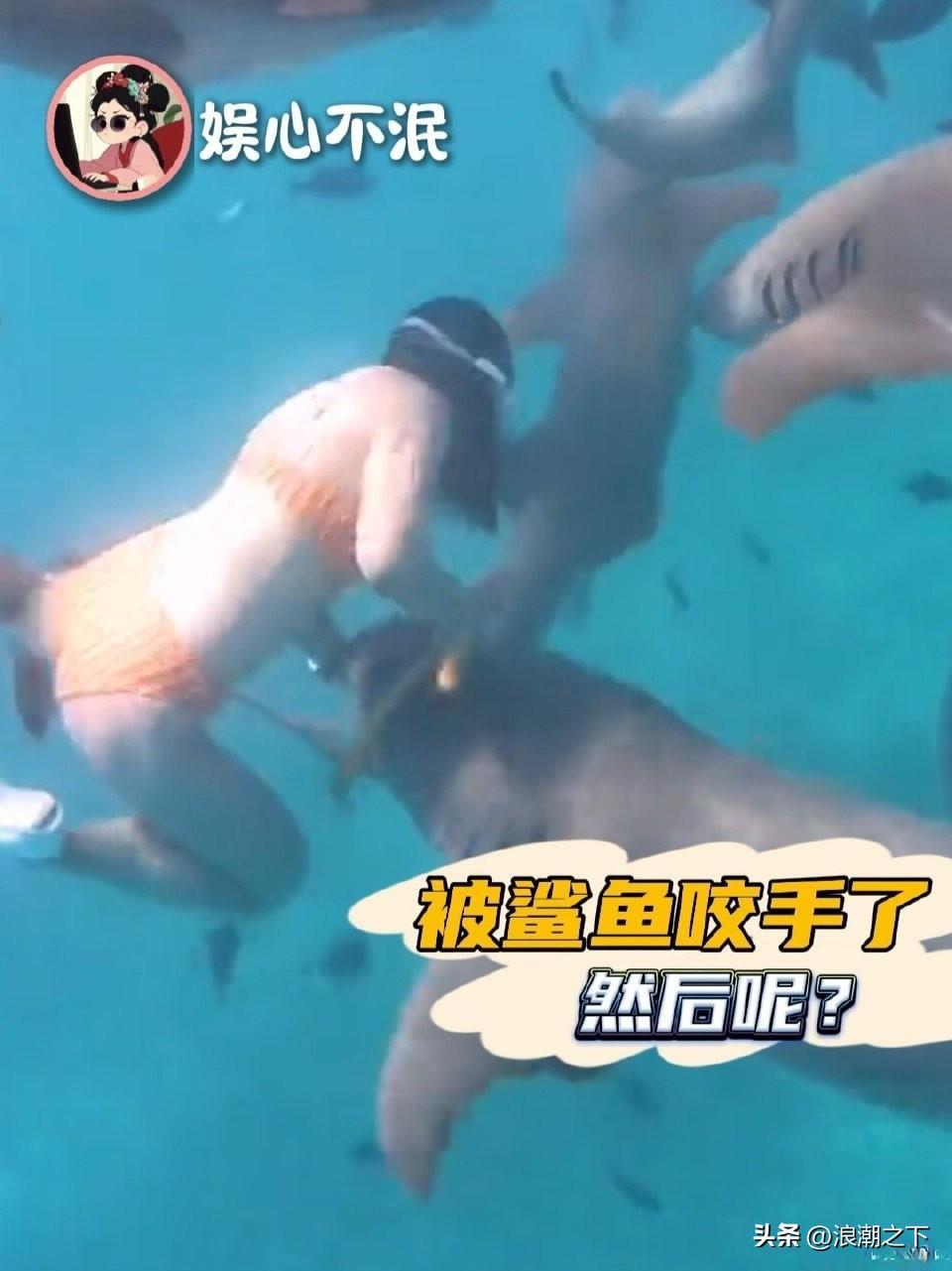 网红生理期潜水🤿被鲨鱼咬伤。还不以为然笑哈哈……不是心大，就是认知低下。医生告
