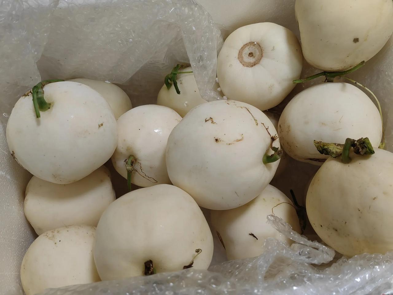 来自老妈的投喂，无论你在哪，多大年纪，父母总担心你没有吃的，说今年无意间种了几颗