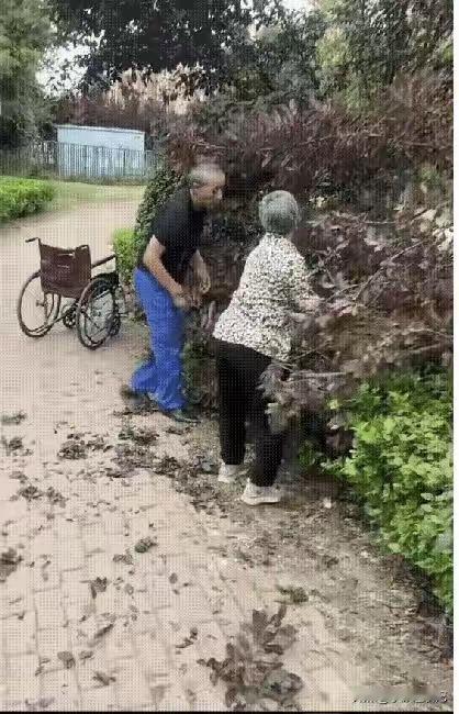 江苏某地发生一件令人哭笑不得的事情。一对老年夫妇到公园里游玩，看着公园里的李子长