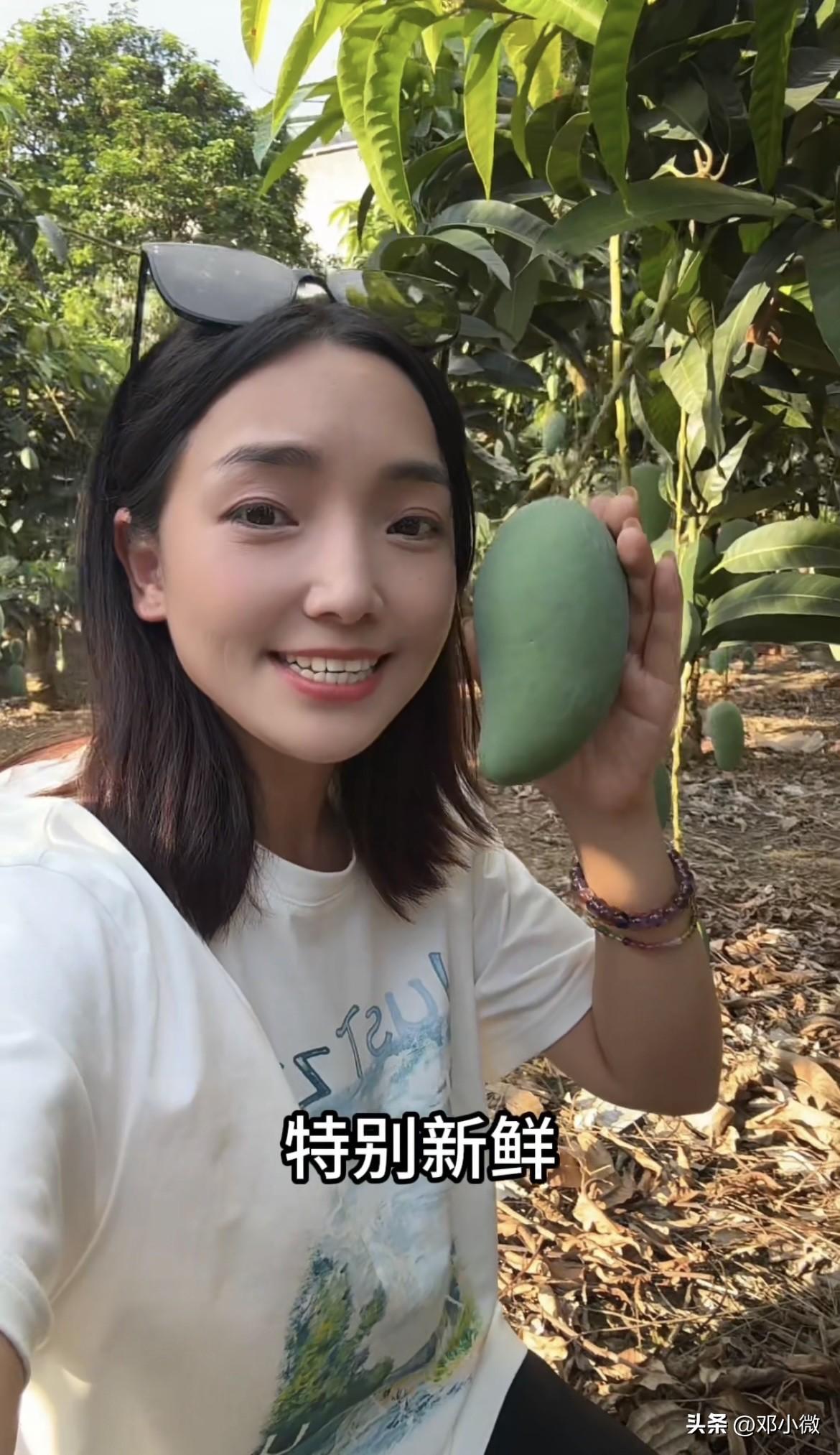 这段时间风里来雨里去，到处去果地溯源，本想借着账号帮农民卖点水果，结果换来满屏“