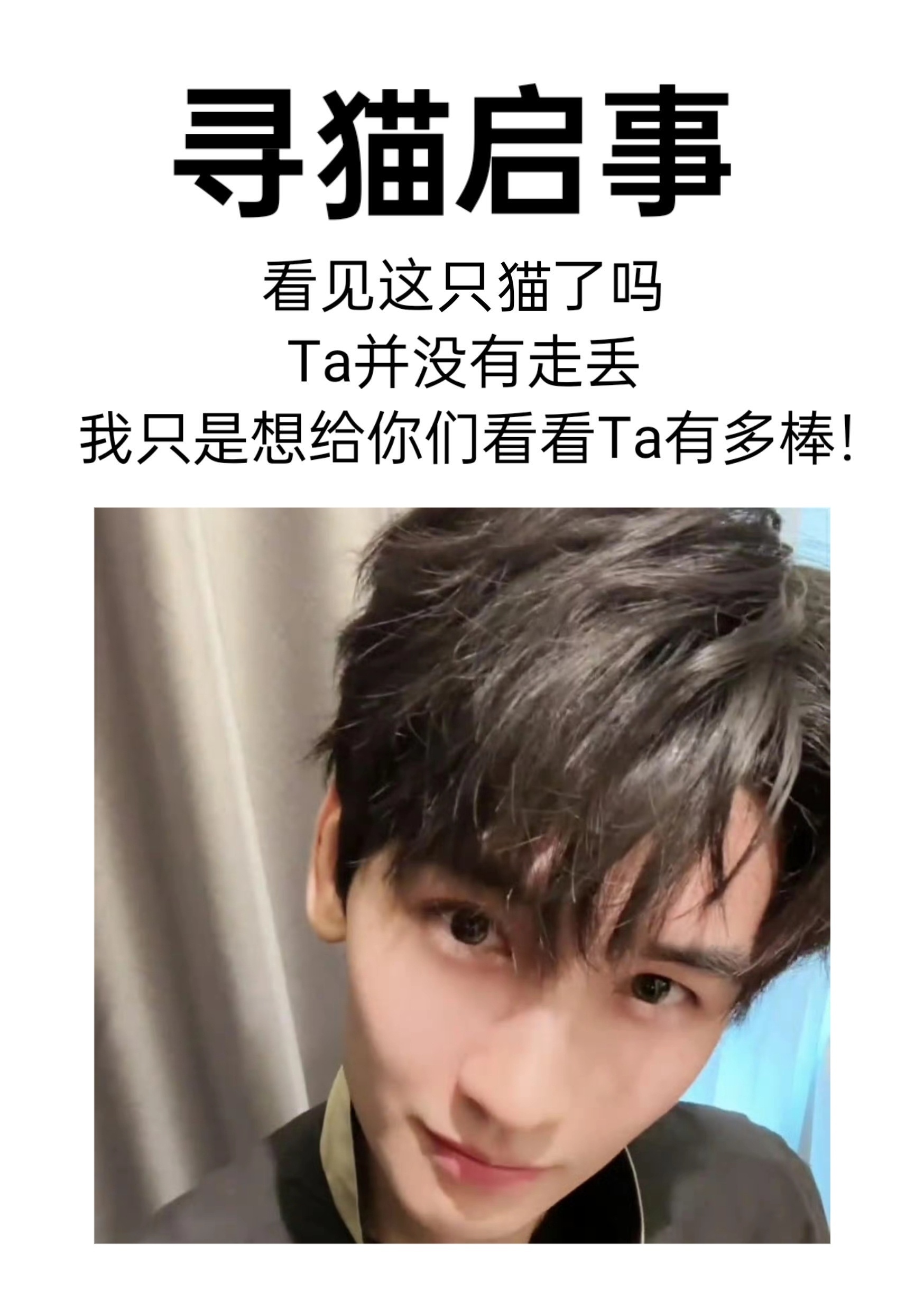 我家🐱呢 