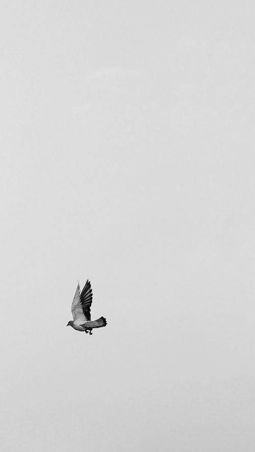 曾以为走不出去的日子，现在都回不去了。———村上春树《且听风吟》