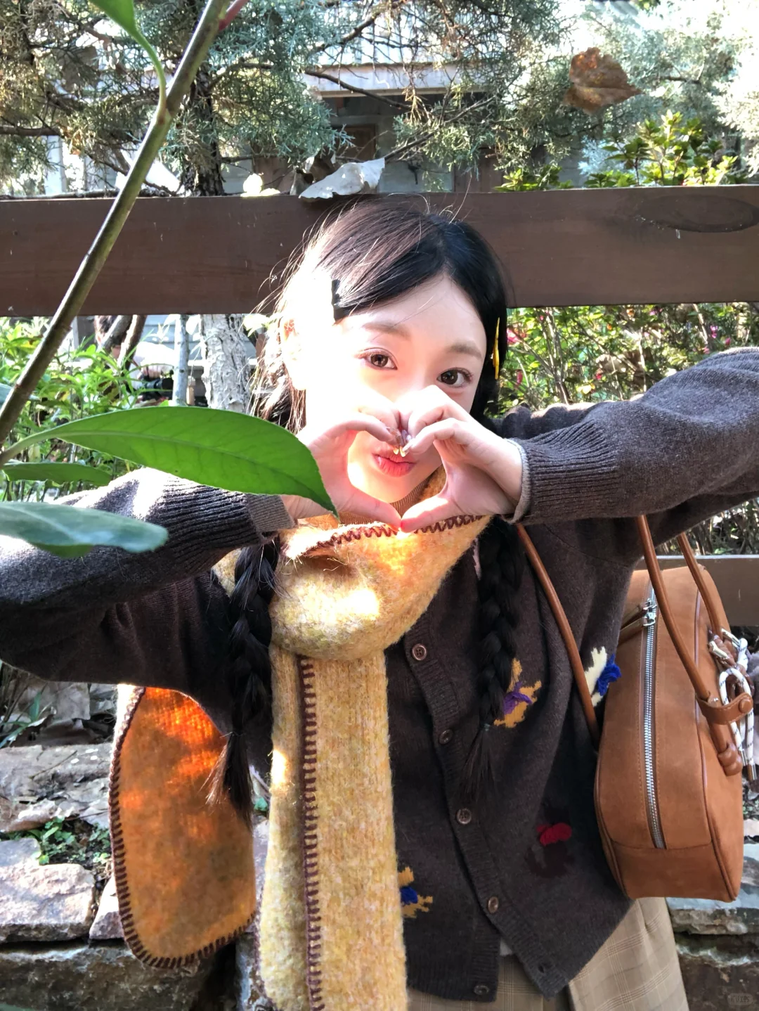 光的来意🍂