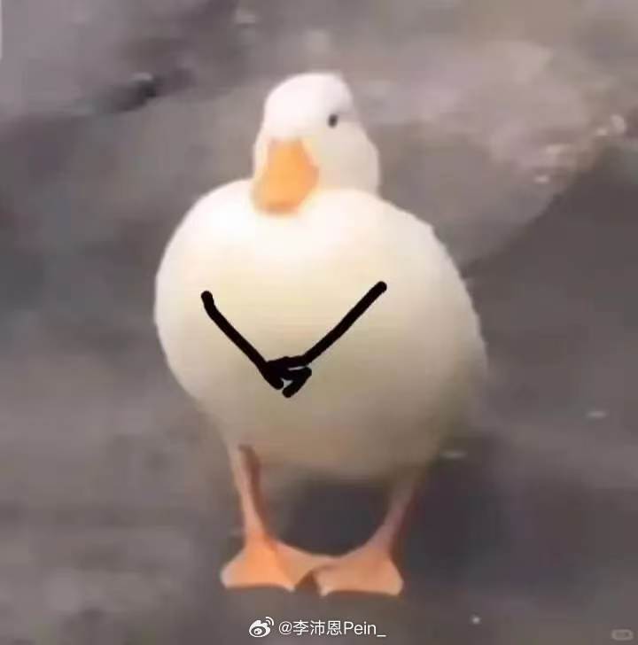 捡垃圾说什么被扒皮的人太糊了无法定位，那我请问我是很火吗？为什么我转唯要骂我啊？