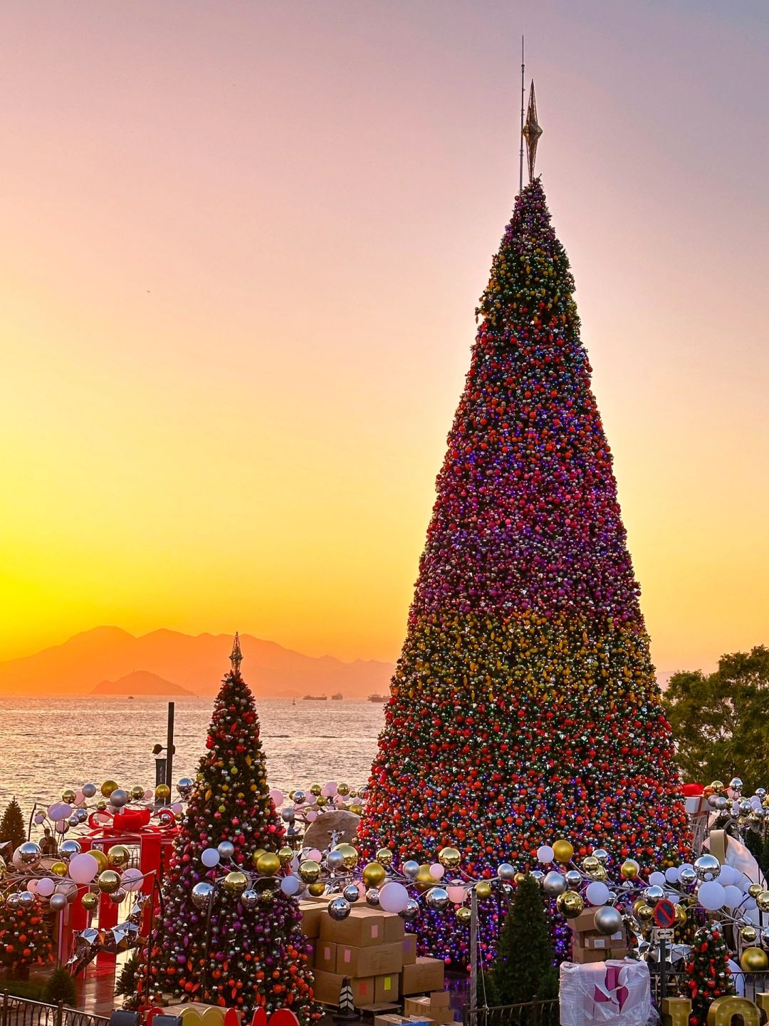 香港｜西九龙的海边圣诞树🎄与日落有点搭