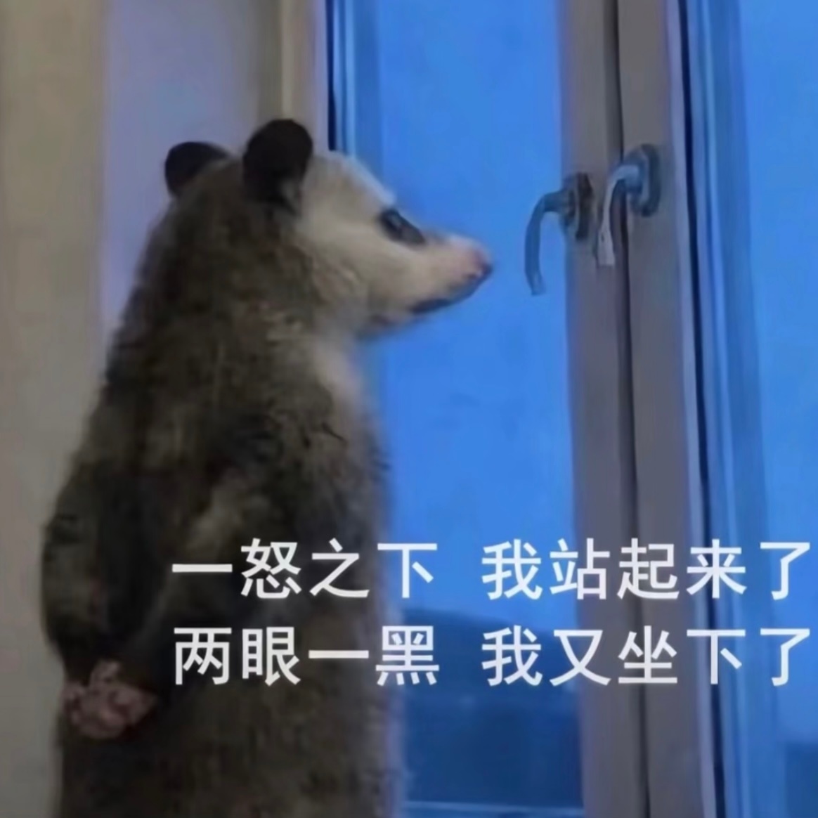 和朋友还在讨论要不要再去补一发装扮朋友：一发普回来了我：恭喜你爆改成功 