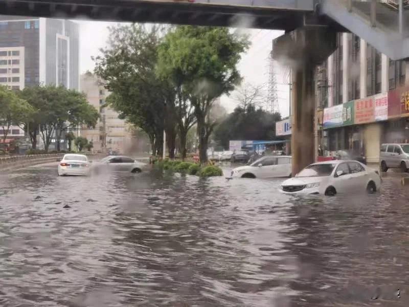 今天佛山暴雨，没见过如此倾盆大雨。早上9点钟这样，正在家里看电视的我们，突然发现