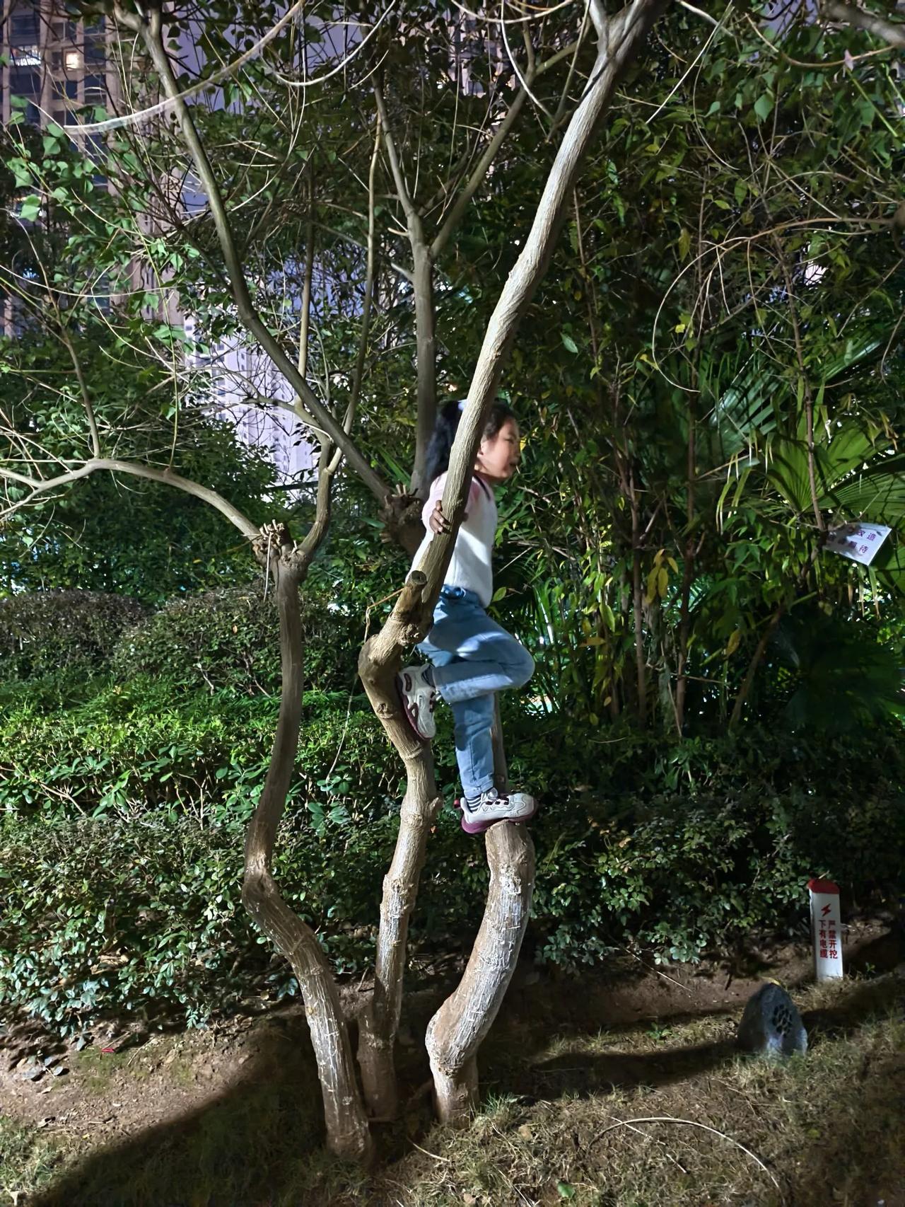 小孩爬树
       ——南木子
夜间楼下又散步，
偶见小孩在爬树。
上前阻止