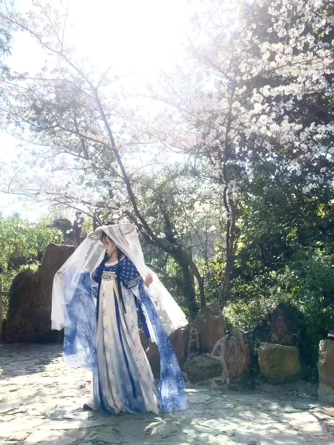 殿下 花开了