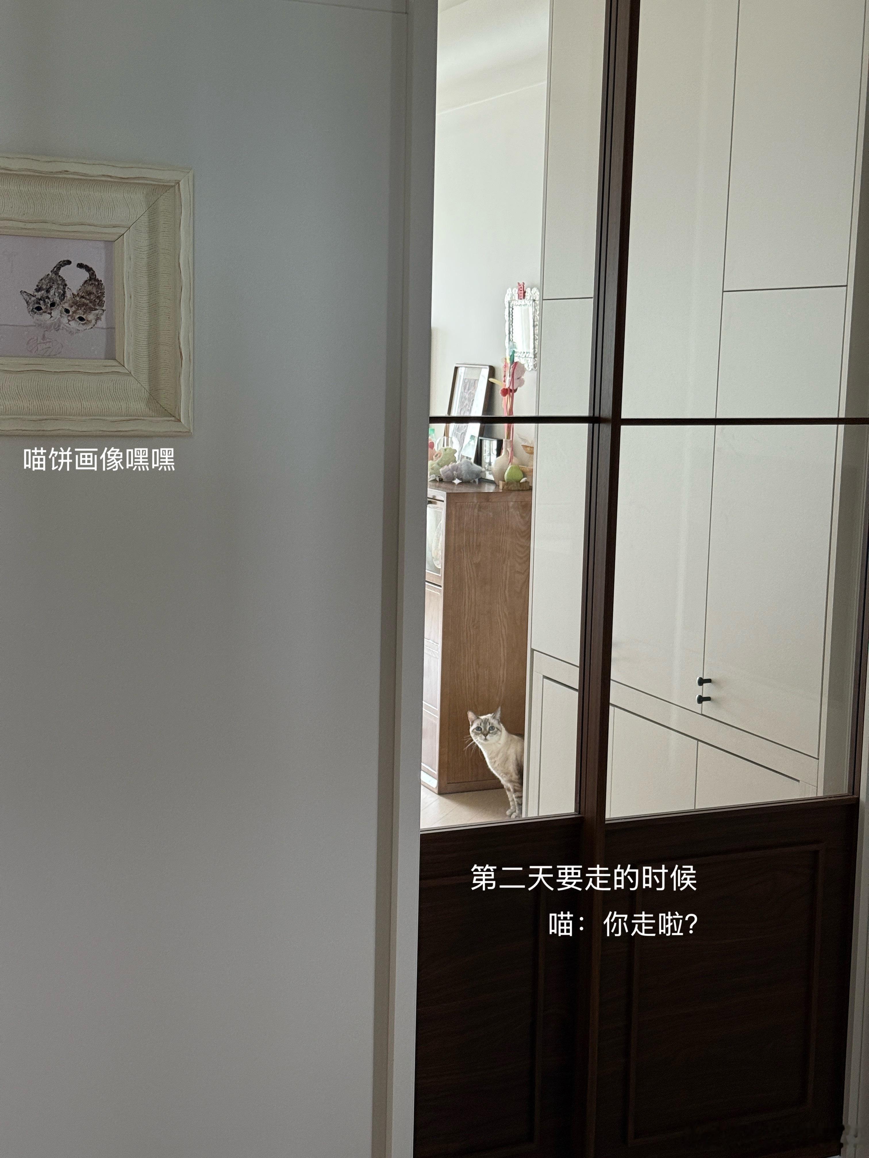 日记碎片📓上海留守日常
