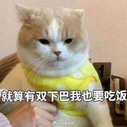 #早安# 生活总是一团糟，好在可以用吃和睡觉来填补[憧憬] ​​​