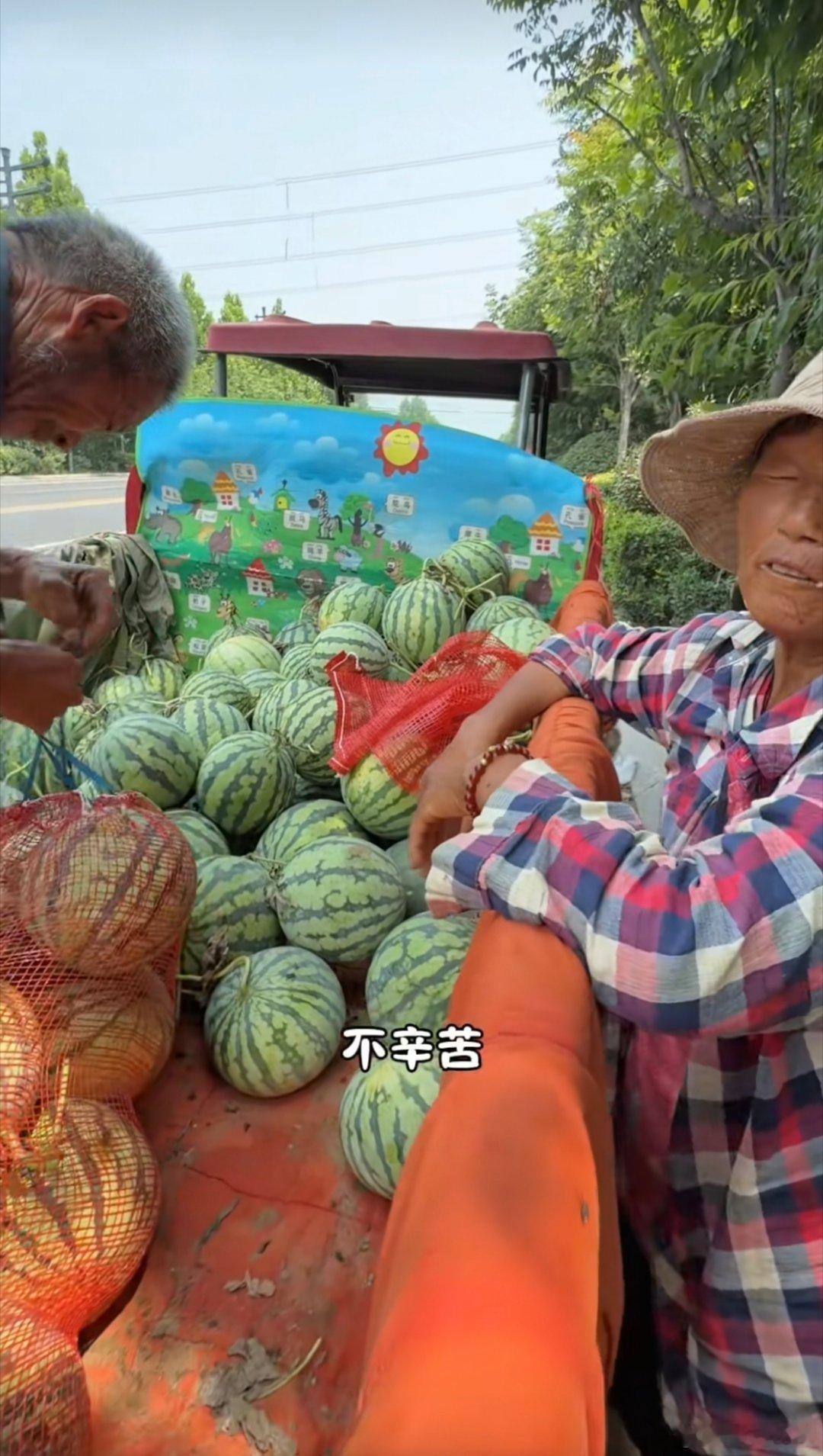 河南西瓜1400斤100元看的好难受啊，那么多西瓜，这个奶奶的西瓜两千斤才能卖六