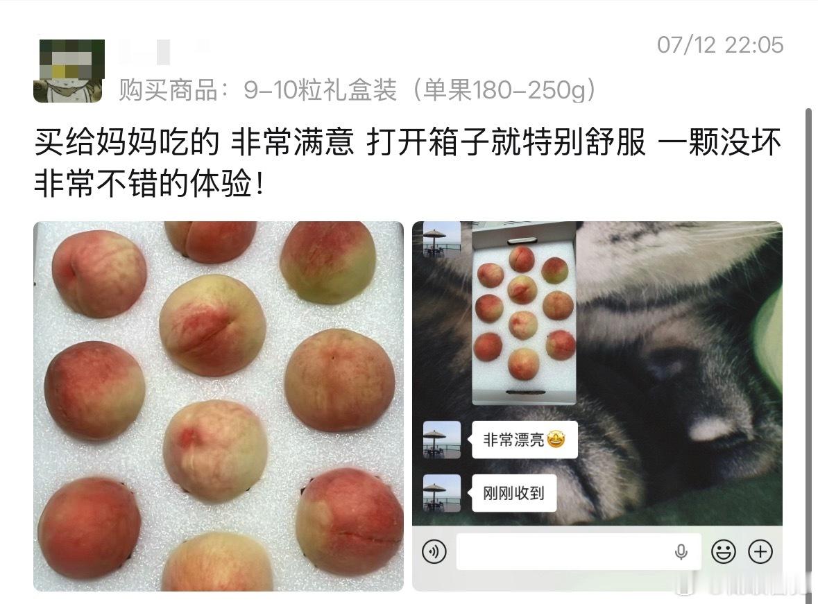 嘿嘿 
