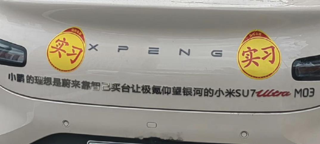 按照一个字20块钱，这一套下来得500块钱了吧？你们来数一下这有多少个字：“小鹏