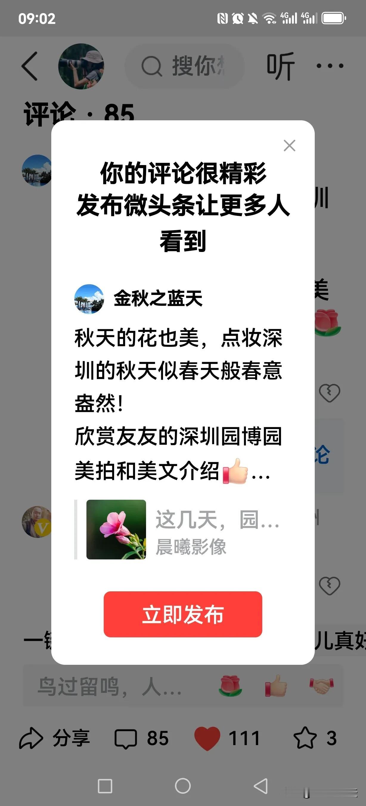 秋天的花也美，点妆深圳的秋天似春天般春意盎然！
欣赏友友的深圳园博园美拍和美文介