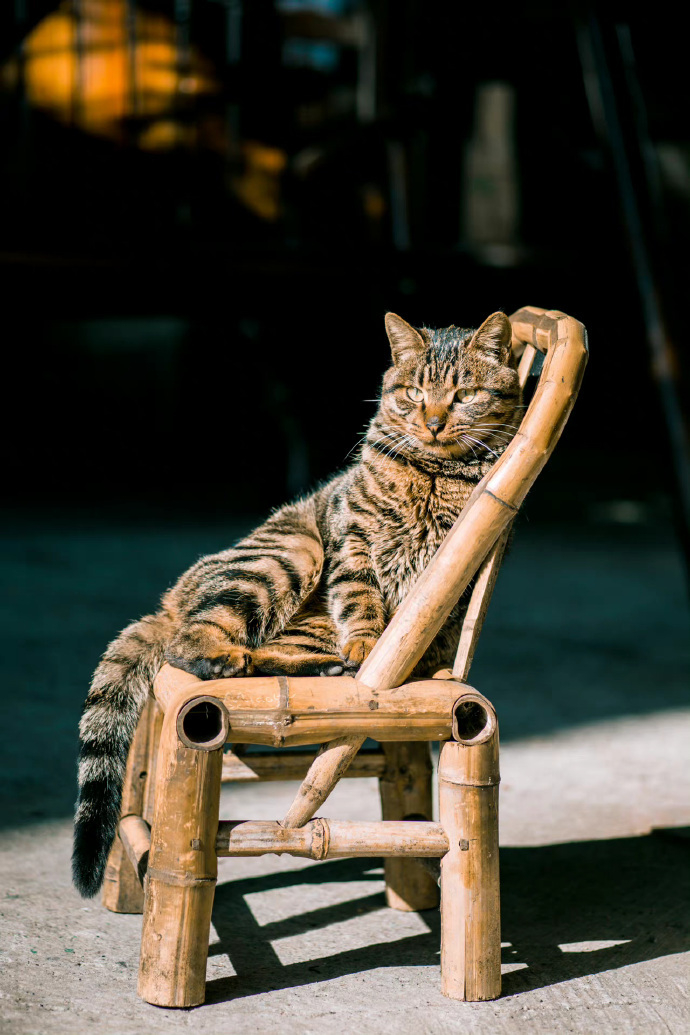 曾经以为自己活得很明白，后来才发现，一个真正活明白的人不会忍心让自己活得太明白。