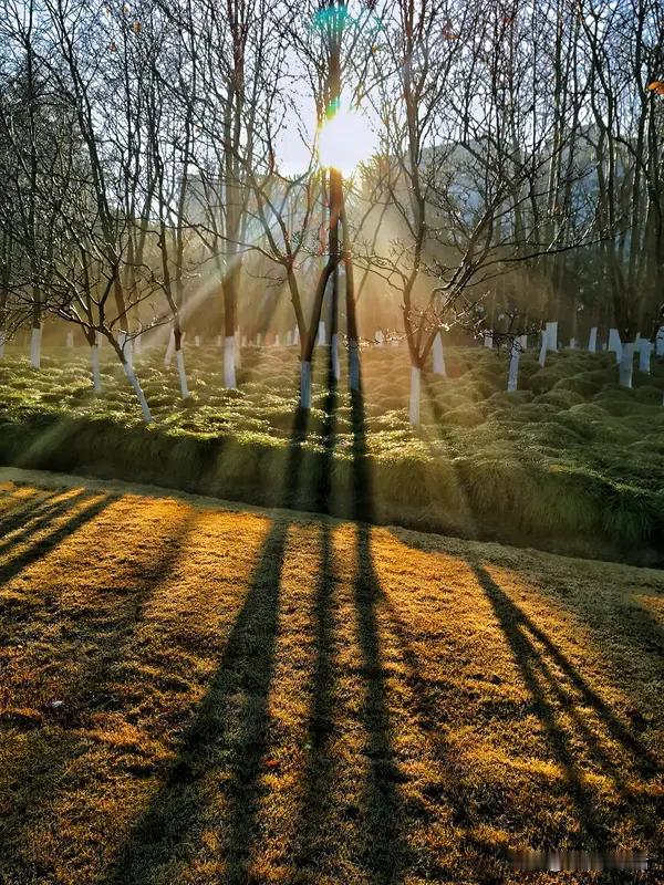 指尖划过冰凉的玻璃，看着窗外行人裹紧大衣匆匆而过，忽然觉得，冬日的美好不在于逃离