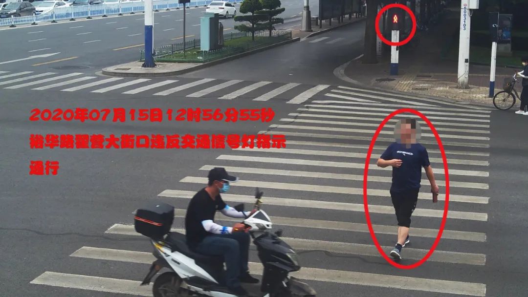 石家庄|石家庄这些行人、驾驶人，你们被曝光了！快看有你认识的吗